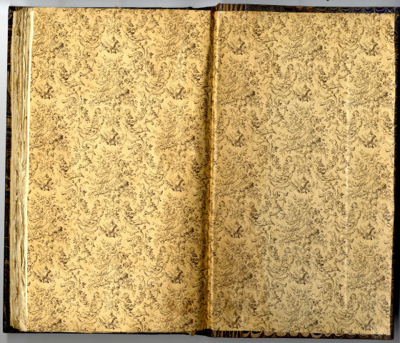 Abrégé de la vie, du culte et des miracles du bienheureux Jean Michel, évêque d'Angers