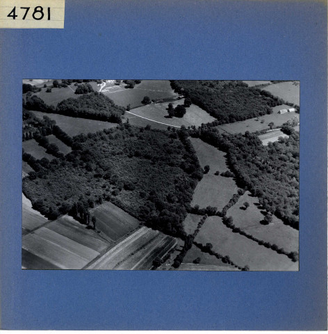 Fontaine-Guérin : Château du Dauphiné (vue aérienne)