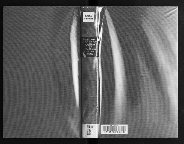 Extraits des comptes et mémoriaux du roi René pour servir à l'histoire des arts au XVe siècle