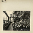 Angers : Jardin des Plantes, serre