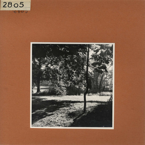 Savennières : Château des Vaults