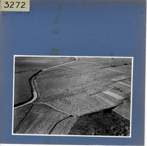 Beaulieu-sur-Layon : Vignoble, vue aérienne