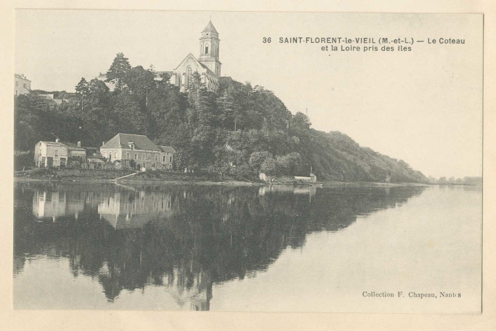 36. Saint-Florent-le-Vieil (M-et-L). Le coteau et la Loire pris des îles