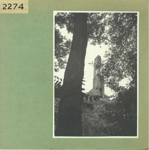 Rochefort-sur-Loire : Ruines de Saint Offange