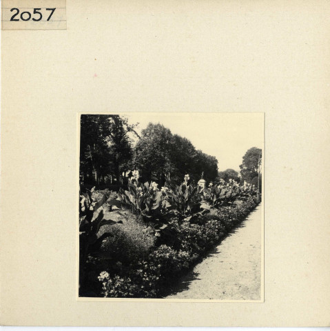 Angers : Jardin du Mail