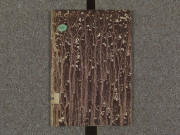 Copie du traité de Guérande, de 1366, entre Jean, duc de Bretagne, et Jeanne, comtesse de Penthièvre