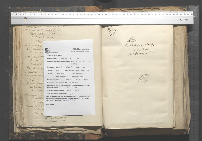 La cardeuse de matelas