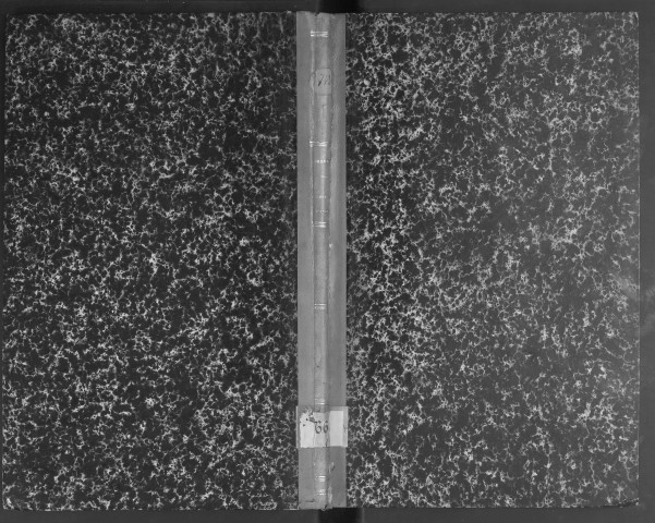 Recueil d'extraits du cartulaire de Saint-Maurice, des comptes de la fabrique et des registres capitulaires, touchant l'église cathédrale d'Angers