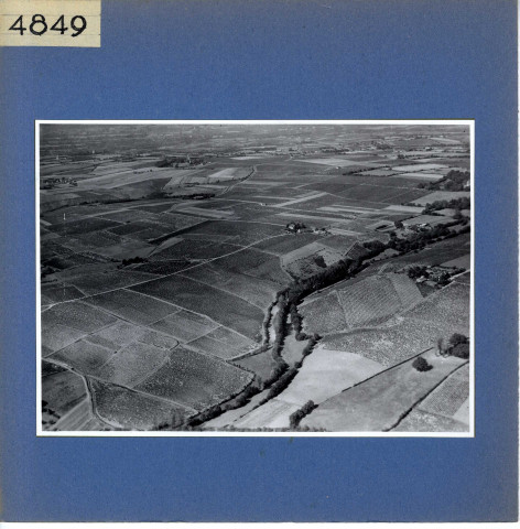 Rochefort-sur-Loire : Chaume (vue aérienne)