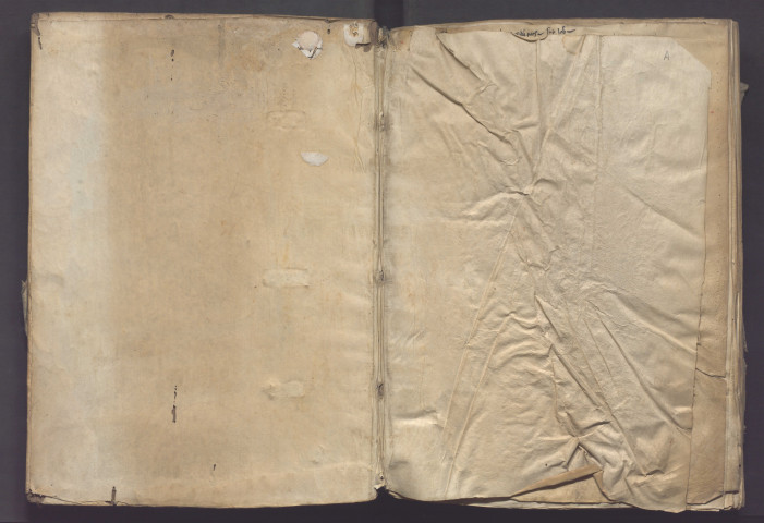 Suite des Moralia in Job, livres VI à X.