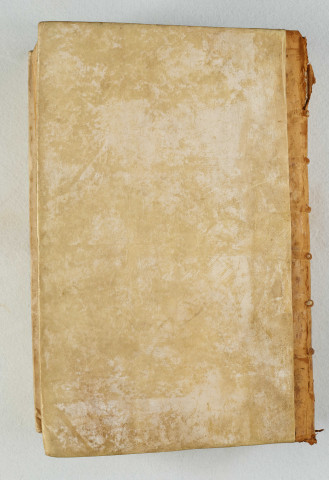 Suite, des Psaumes à la fin des Petits Prophètes. Début : « Propheta magnus surrexit in nobis... »