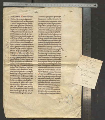 Fragment de l'Apocalypse (XIVe siècle)