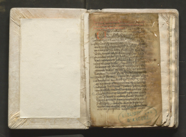 « Incipit dyalogus de contemptu mortis, compilatus per magistrum Johannem Mureti, secretarium domini nostri pape. Cur, celites, in fedissima parte temporum... Explicit dyalogus deffuncti magistri Johannis Mureti, domini nostri pape secretarii et archidiaconi de Passayo in ecclesia Cenomanensi, de contemptu mundi »