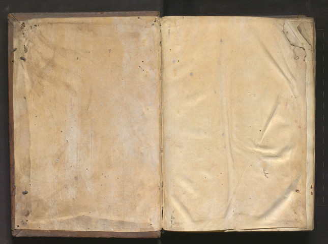 Avicenne. Canons 3 et 5. « Dictio prima de universis egritudinibus capitis tercii libri. De utilitate capitis. Intencio in creando capite non est cerebrum... »