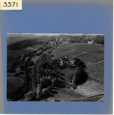 Saint-Aubin-de-Luigné : Vignoble (vue aérienne)