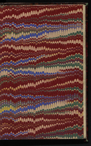 Carnet de notes [Bruel 19]