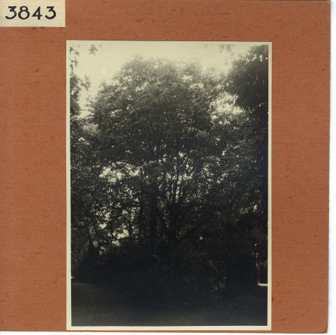 Savennières : Château La Bizolière