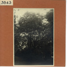 Savennières : Château La Bizolière