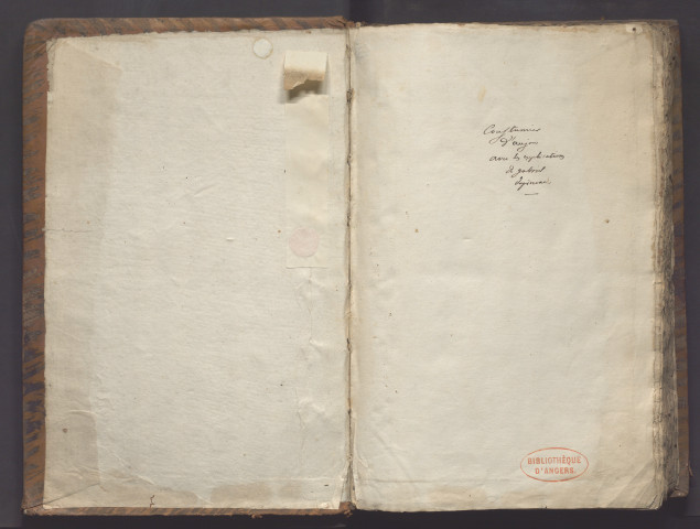 « Consuetudines Andegavenses, ex originali manuscripto restitutae, notis viri clarissimi Caroli Molinaei et aliorum Galliae jurisconsultorum, praecipue Andinorum, sententiis illustratae, cura et studio nobilis viri magistri Gabrielis du Pineau, andini, regii apud Andes in senescalia et praesidiali senatu consiliarii, ejusque annotationibus explicatae »