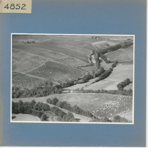 Rochefort-sur-Loire : Chaume (vue aérienne)