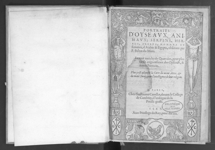Portraits d'oyseaux, animaux, serpens, herbes, arbres, hommes et femmes d'Arabie et d'Egypte, observez par P. Belon, du Mans. Le tout enrichy de quatrains, pour plus facile cognoissance des oyseaux et autres portraits. Plus y est adjousté la carte du mont Attos et du mont Sinay, pour l'intelligence de leur religion