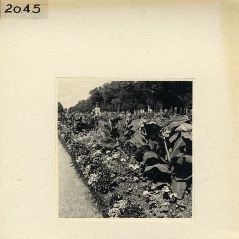 Angers : Jardin du Mail