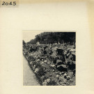 Angers : Jardin du Mail