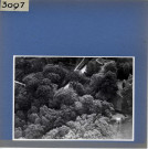 Saint-Laurent-de-la-Plaine : Château du Plessis-Beuvereau, vue aérienne