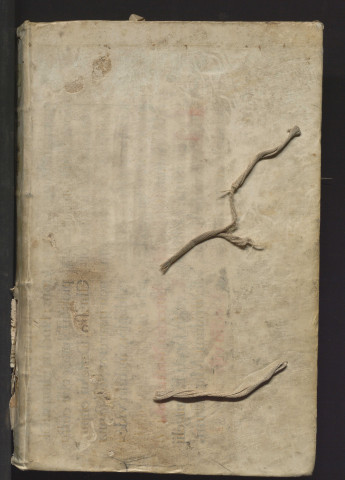 Registre capitulaire de l'église d'Angers, ou plutôt recueil de fragments de registres de la communauté