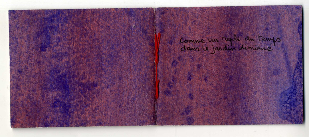 Comme un repli du temps dans le jardin diminué