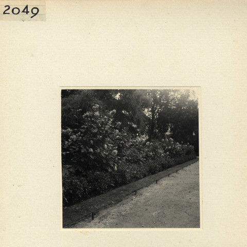 Angers : Jardin du Mail