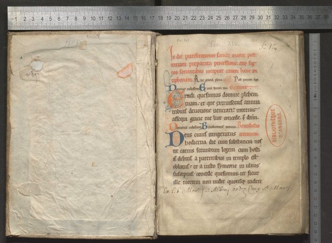 Rituel à l'usage de l'abbaye de Saint-Aubin. Litanies angevines