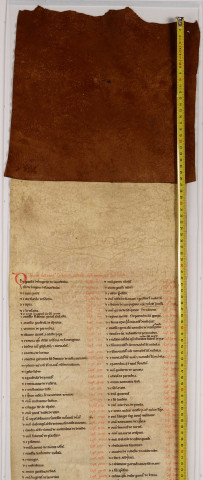 Cartulaire de l'abbaye de Notre-Dame du Ronceray, en six rouleaux opisthographes. « Primus rotulus » : longueur 5,448 m, largeur 0,300 m. Cent chartes, dont table en tête.