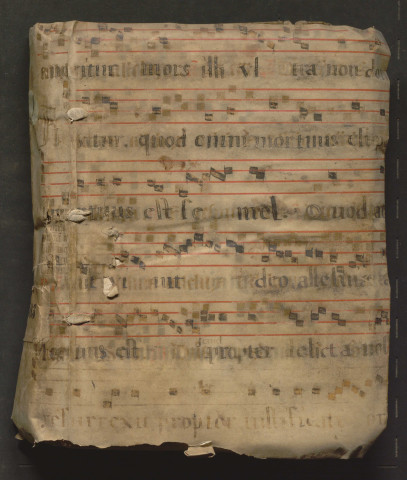 « Beringerii, archidiaconi Andegavensis, memoria retractata, in qua varii ad firmandam rerum seriem tractatus de veteribus membranis publicantur primum vel repetita lectione renovantur, edente Cl. Menardo, Juliomagi Andium expropraetore urbis, Reginae Galliarum augustissimae libellorum supplicum magistro. MDCXLV »