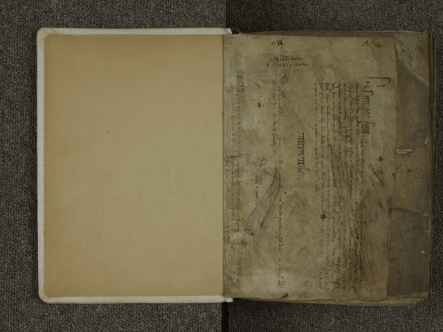 Psautier bénédictin