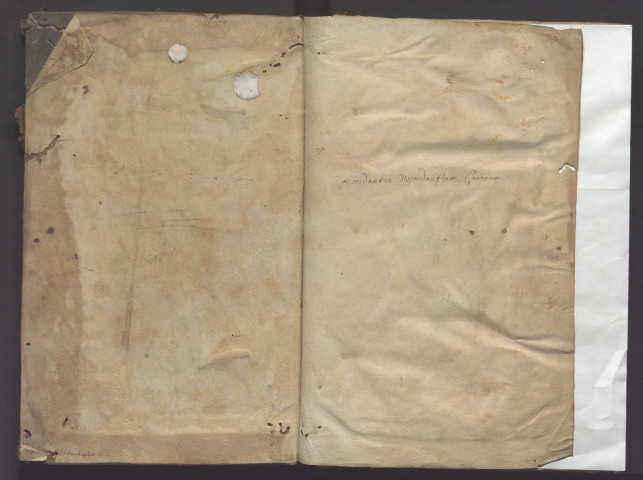 Commentaire de Jo. Faventinus ou Jean de Faenza, sur le Décret de Gratien. Début : « Cum multa super Concordantia discordantium canonum sint actenus edita... » Fin : « Laboriosi operis et operosi laboris querens requiem et gloriam sempiternam »