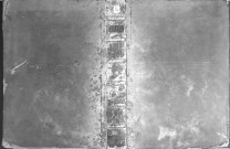 Andreae Vesalii Bruxellensis, de humani corporis fabrica libri septem