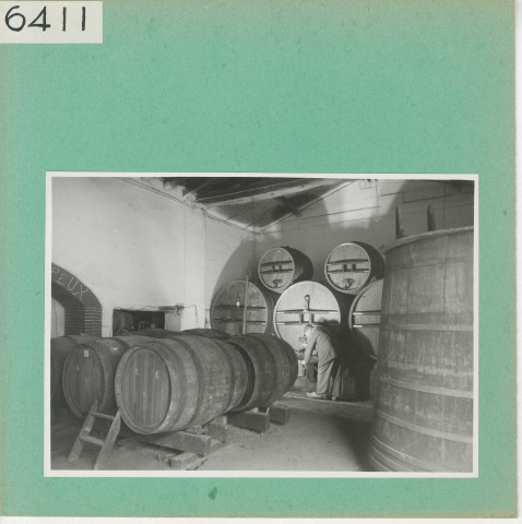 Saint-Aubin-de-Luigné : Cave dans le vignoble angevin, "La Biquerie"