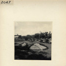 Angers : Jardin du Mail