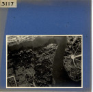 Angers : Belle-Beille, vue aérienne