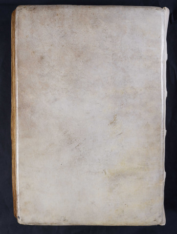 « Incipit liber Brucardi, episcopi nomine solo Marwortiensis (sic). Multis jam sepe diebus... »