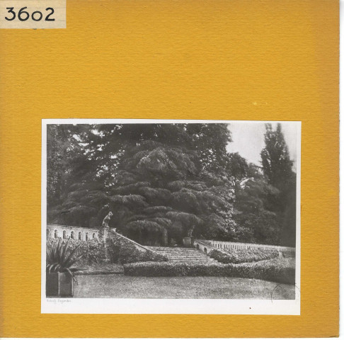 La Chapelle-sur-Oudon : Château de La Lorie. Hauts degrés de la terrasse avec statues de chien