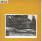 La Chapelle-sur-Oudon : Château de La Lorie. Hauts degrés de la terrasse avec statues de chien