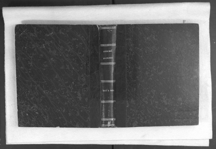 Affiches d'Angers. Feuilleton bimensuel, paraissant le dimanche