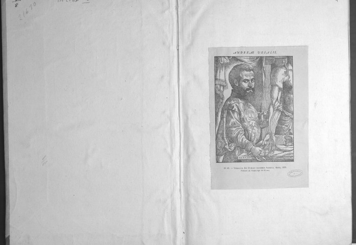 Andreae Vesalii Bruxellensis, de humani corporis fabrica libri septem