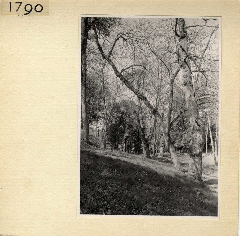 Angers : Parc de la Garenne