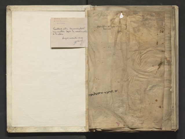 Glose ordinaire sur S. Marc. Début : « Primum expulsio demonis in sinagoga... »