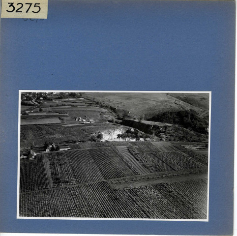 Beaulieu-sur-Layon : Vignoble, vue aérienne