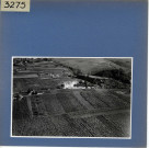 Beaulieu-sur-Layon : Vignoble, vue aérienne