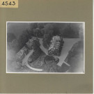 Savennières : Domaine Les Griffuays (vue aérienne)